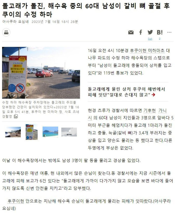 일본에서 돌고래가 60대남성 습격