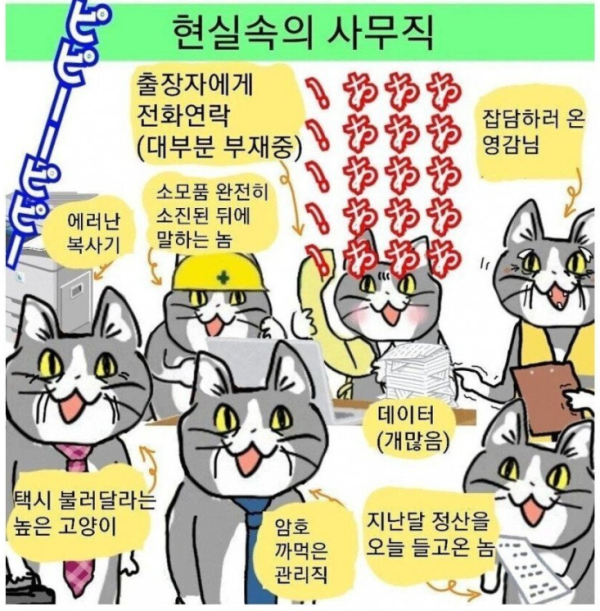 나의 상상과 달랐던 직종.